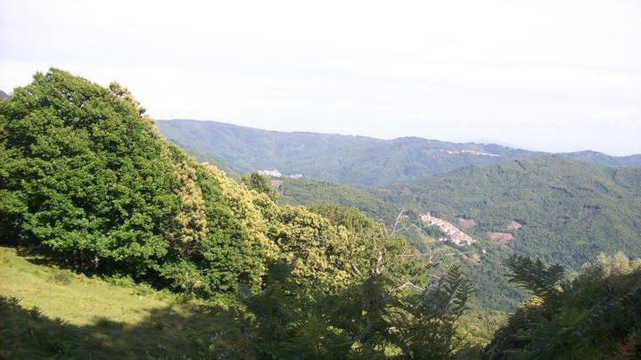 Una panoramica dall'alto del Paese di pontito in emzzo ai boschi della Svizzera Pesciatina