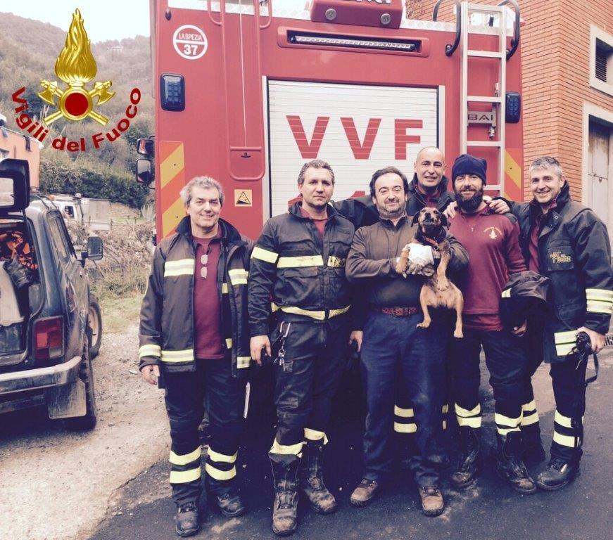 Il cane con i vigili del fuoco suoi salvatori
