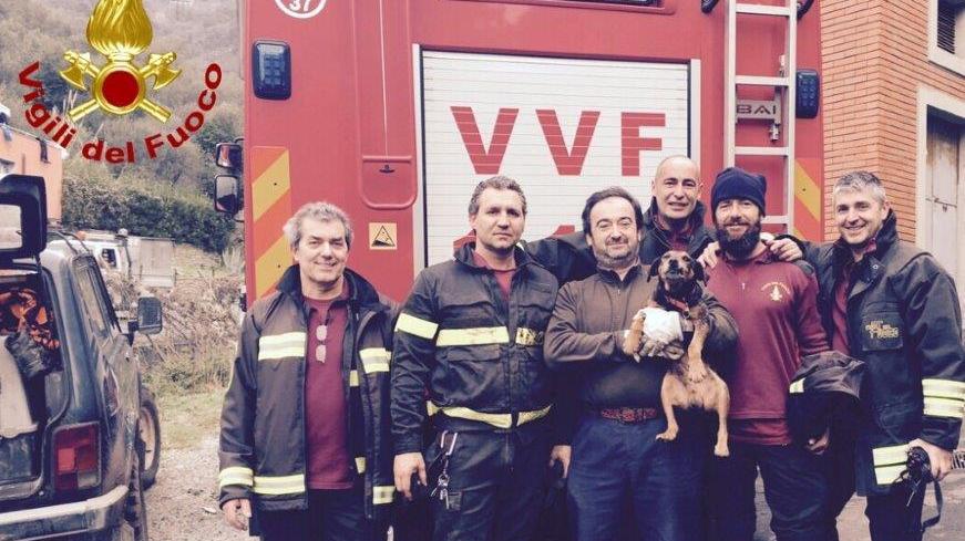 Il cane con i vigili del fuoco suoi salvatori