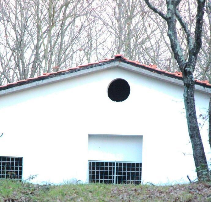 Arrivano 32 box per il canile