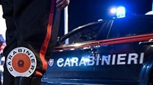 A Portomaggiore fanno sparire 300 litri di gasolio