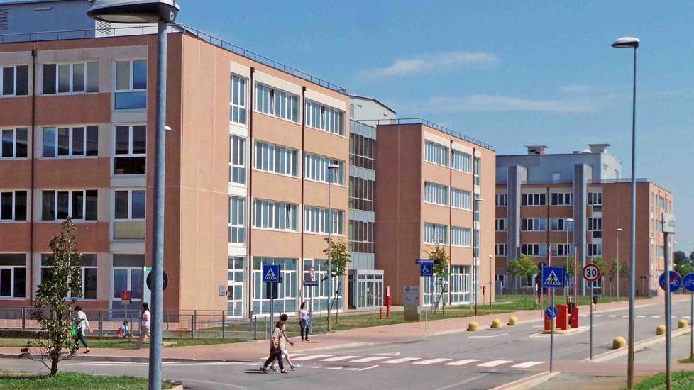 «Interrompete le uccisioni di colombi al Sant’Anna»