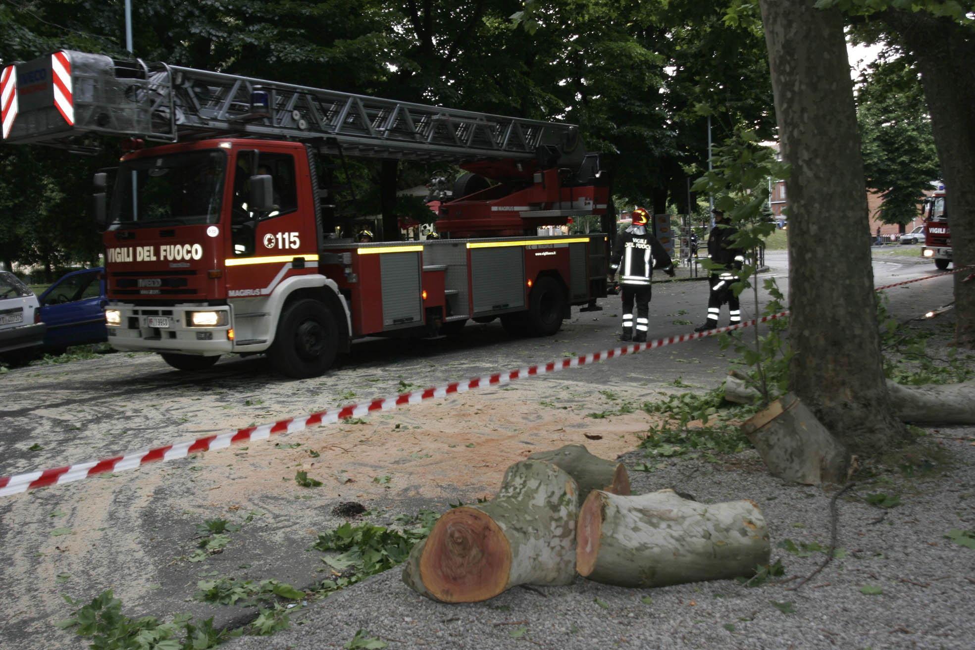 Via alle potature degli alberi in piazza Stazione (foto Batavia)