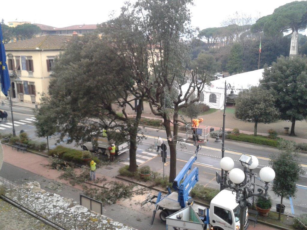 Le potature in corso in viale Verdi