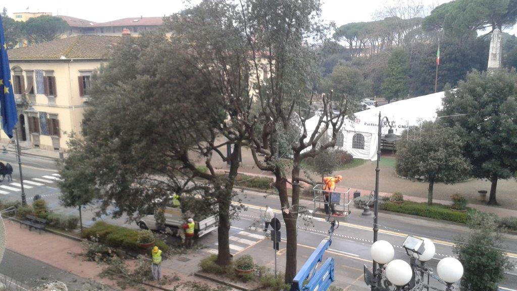Le potature in corso in viale Verdi