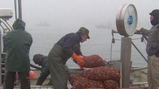 Le coop di Goro: per le feste meno cari il pesce e le vongole