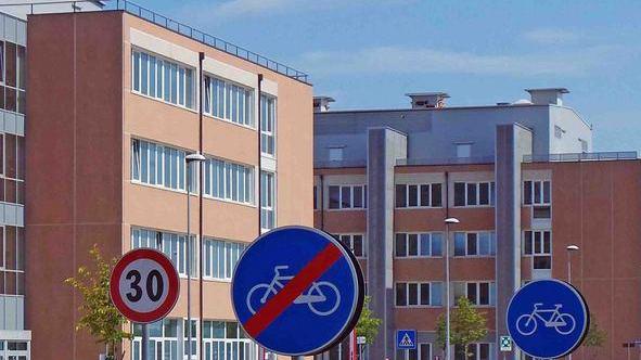 «I piccioni all’ospedale Sant’Anna una vera emergenza sanitaria»