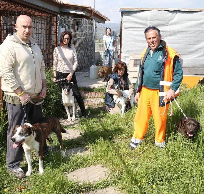 Hanno trovato casa cinque “invisibili” e il canile è in regola 
