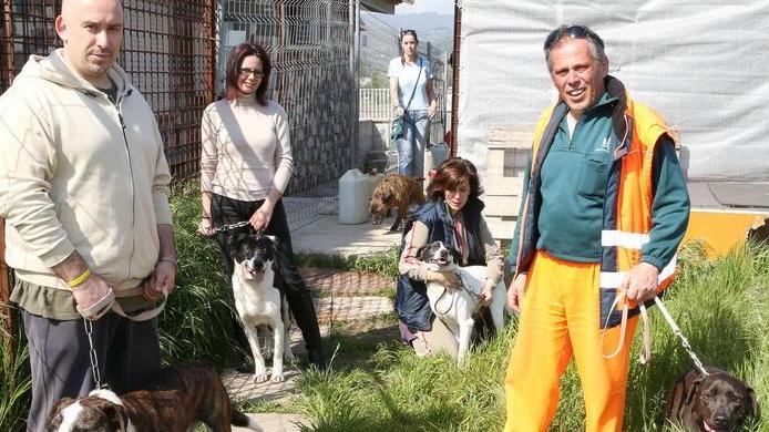 Hanno trovato casa cinque “invisibili” e il canile è in regola