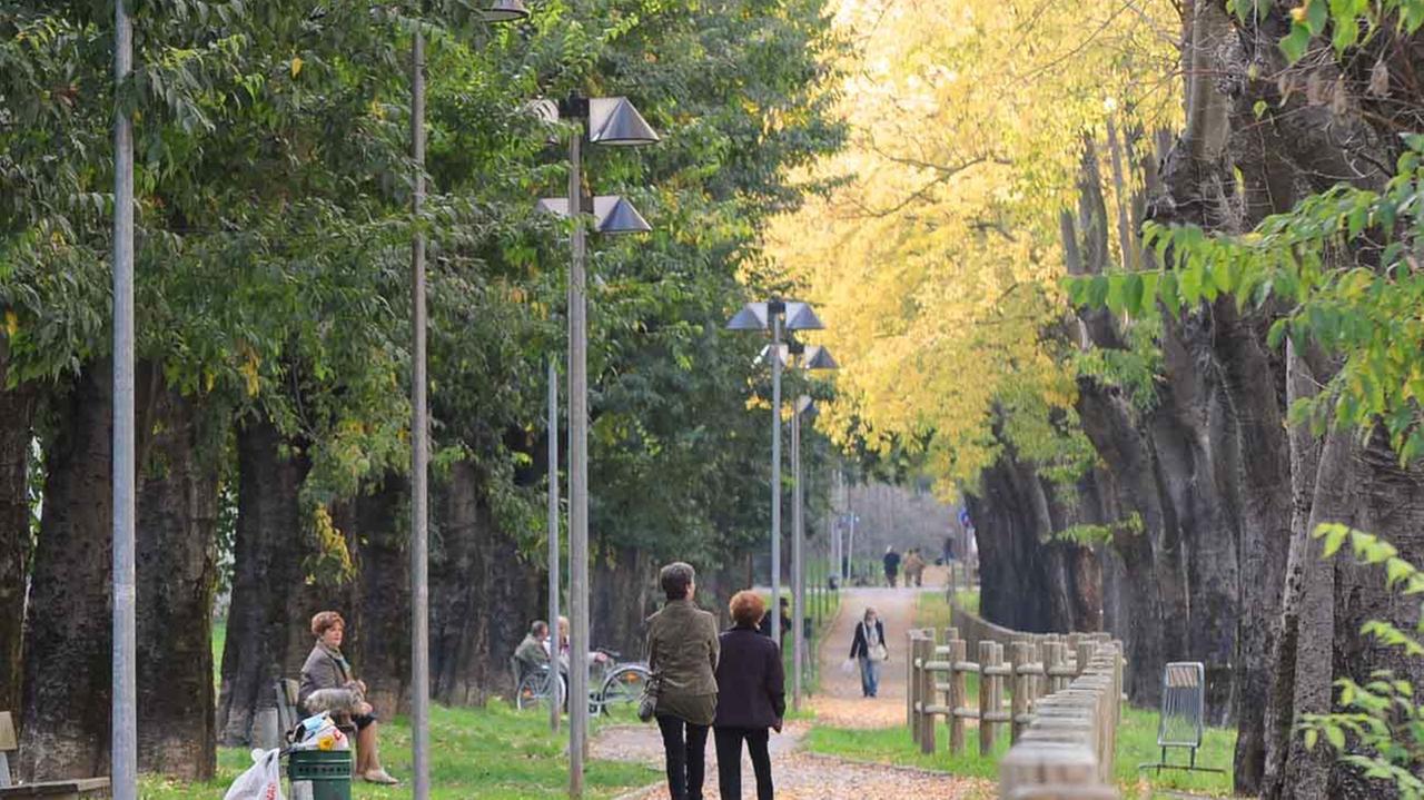 Pistoia, via ai lavori per la nuova pista ciclabile
