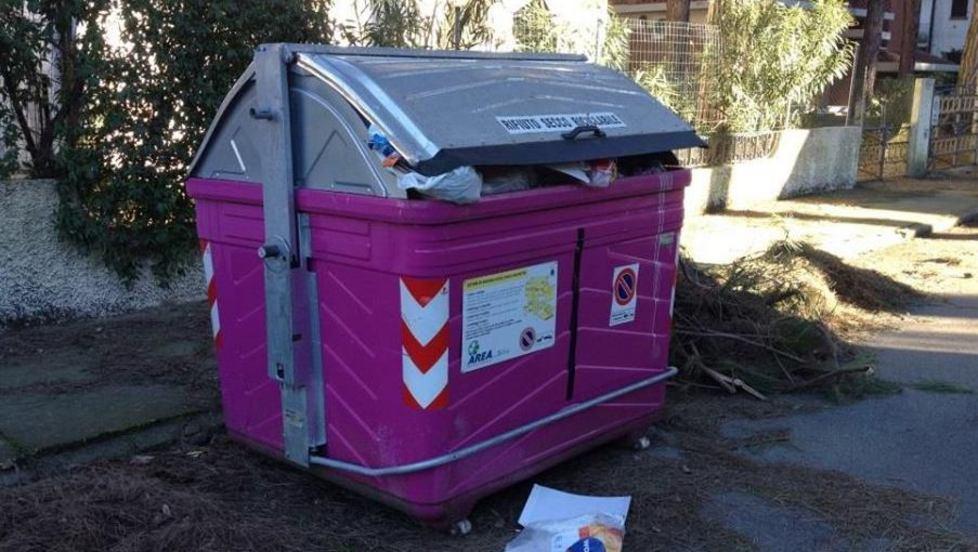 «Cassonetti vuotati ogni quindici giorni» 