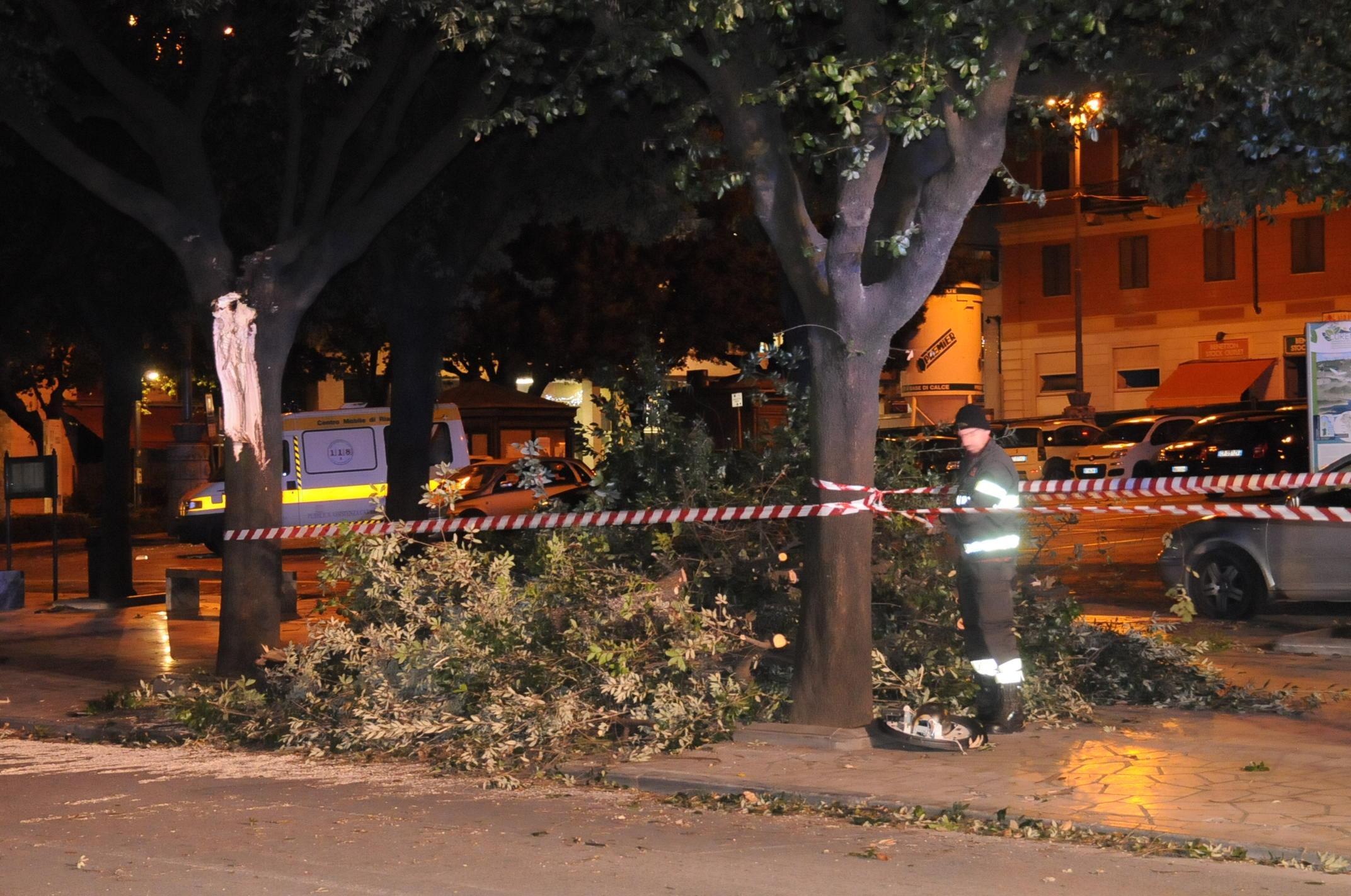 Il vento fa crollare un albero, paura in piazza Matteotti