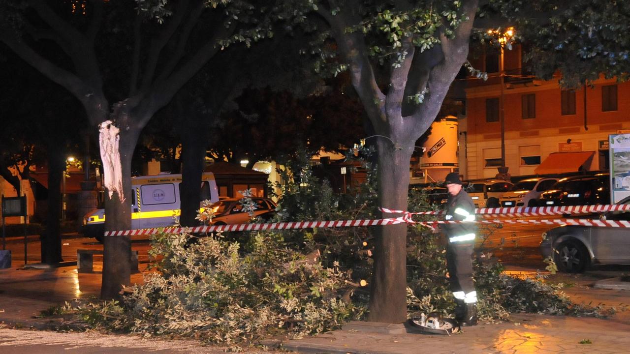 Il vento fa crollare un albero, paura in piazza Matteotti