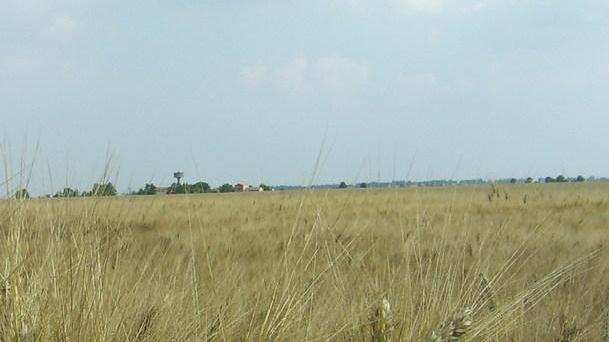 L’agricoltore attivo? Ecco a chi andranno i fondi dell’Europa