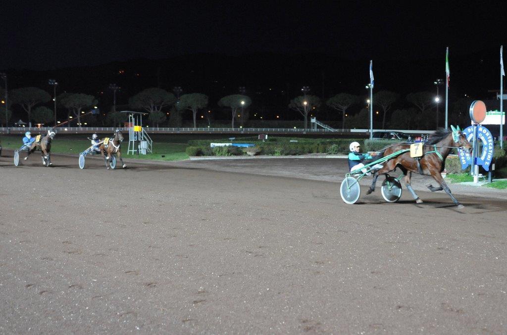  Sugar Bred, guidato da Edy Moni, in occasione della vittoria al Sesana