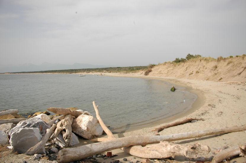 La spiaggia di San Rossore