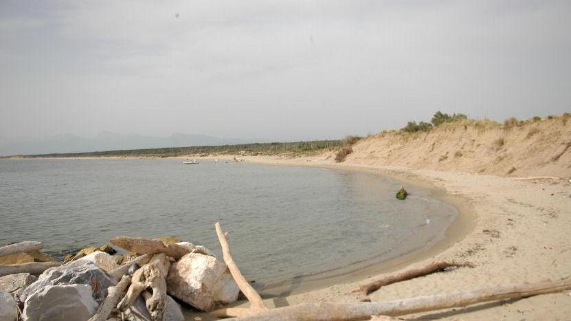 La spiaggia di San Rossore