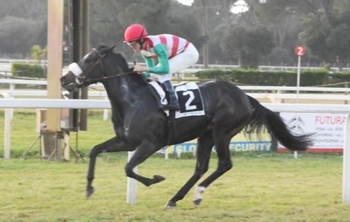 Disappointing vince il premio Toni 