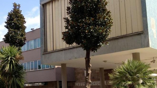 Follonica cerca consulenti di paesaggio
