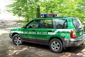 Un mezzo della forestale