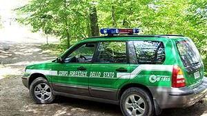 Un mezzo della forestale