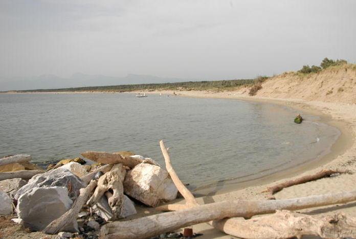 Un frigorifero sulla spiaggia di S. Rossore