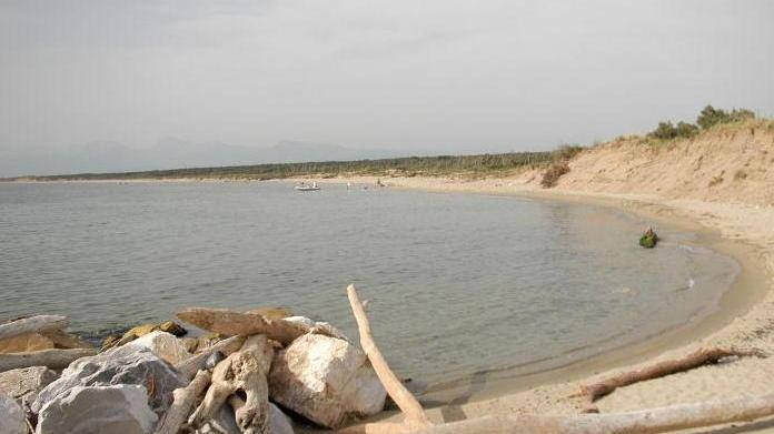 Un frigorifero sulla spiaggia di S. Rossore