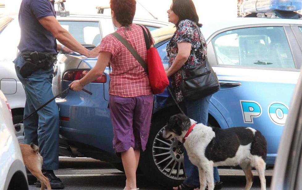 Morì dopo la lite per il cane: caso archiviato 