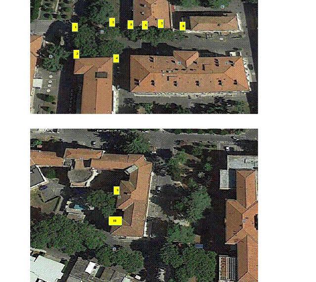 Una veduta dall'alto dell'area oggetto dell'intervento di taglio dei pini