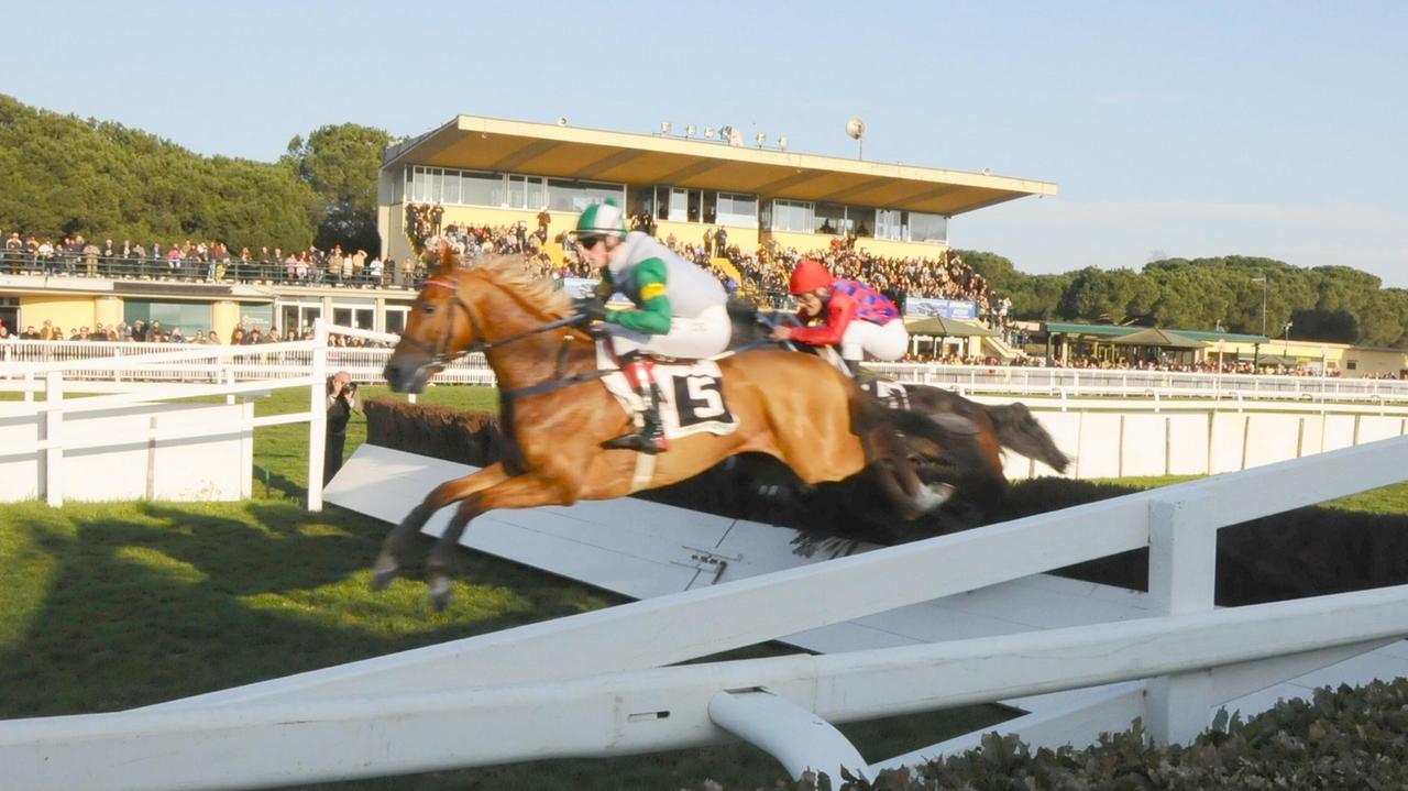 Una corsa a ostacoli a San Rossore