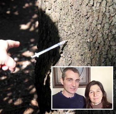 Flagello droga: eroina tra i ragazzini in arrivo gli specialisti 