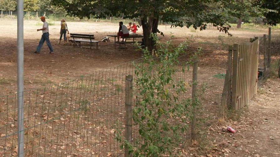 Uno spazio al parco per i quattro zampe