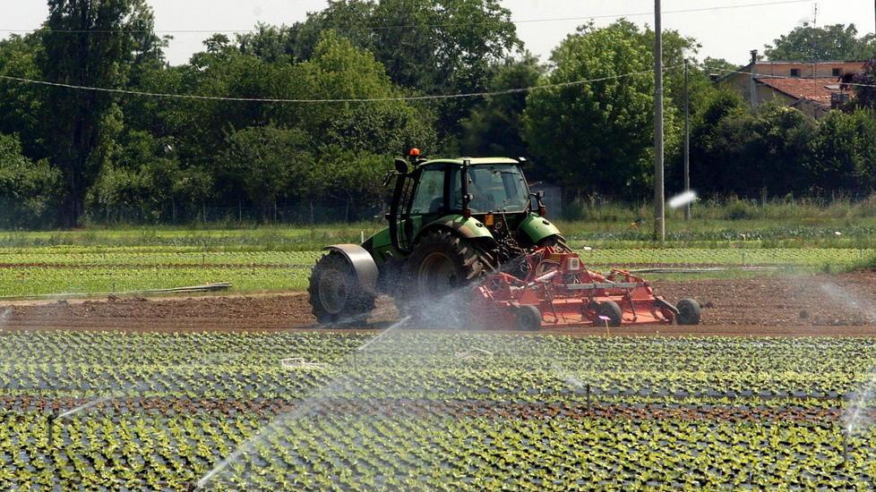 Il viceministro: «Rivedrò l’Imu agricola»