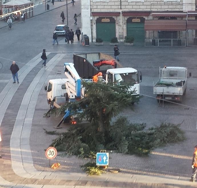 Tagliato l’albero di Natale, le feste sono proprio finite