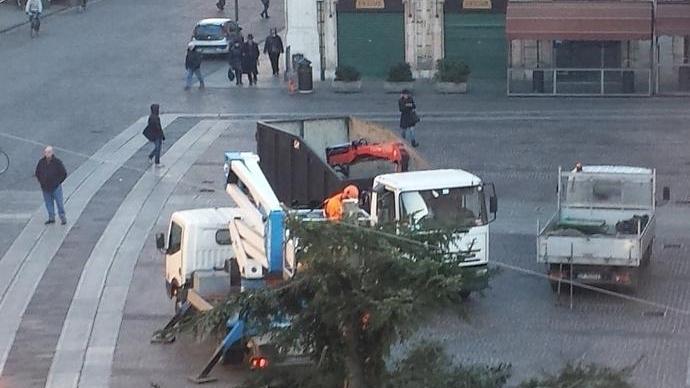 Tagliato l’albero di Natale, le feste sono proprio finite