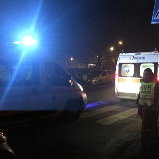 Lite tra cani, padrone all'ospedale