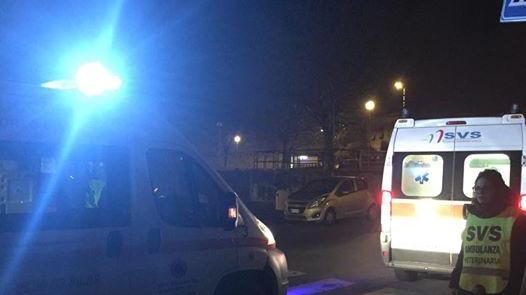Lite tra cani, padrone all'ospedale