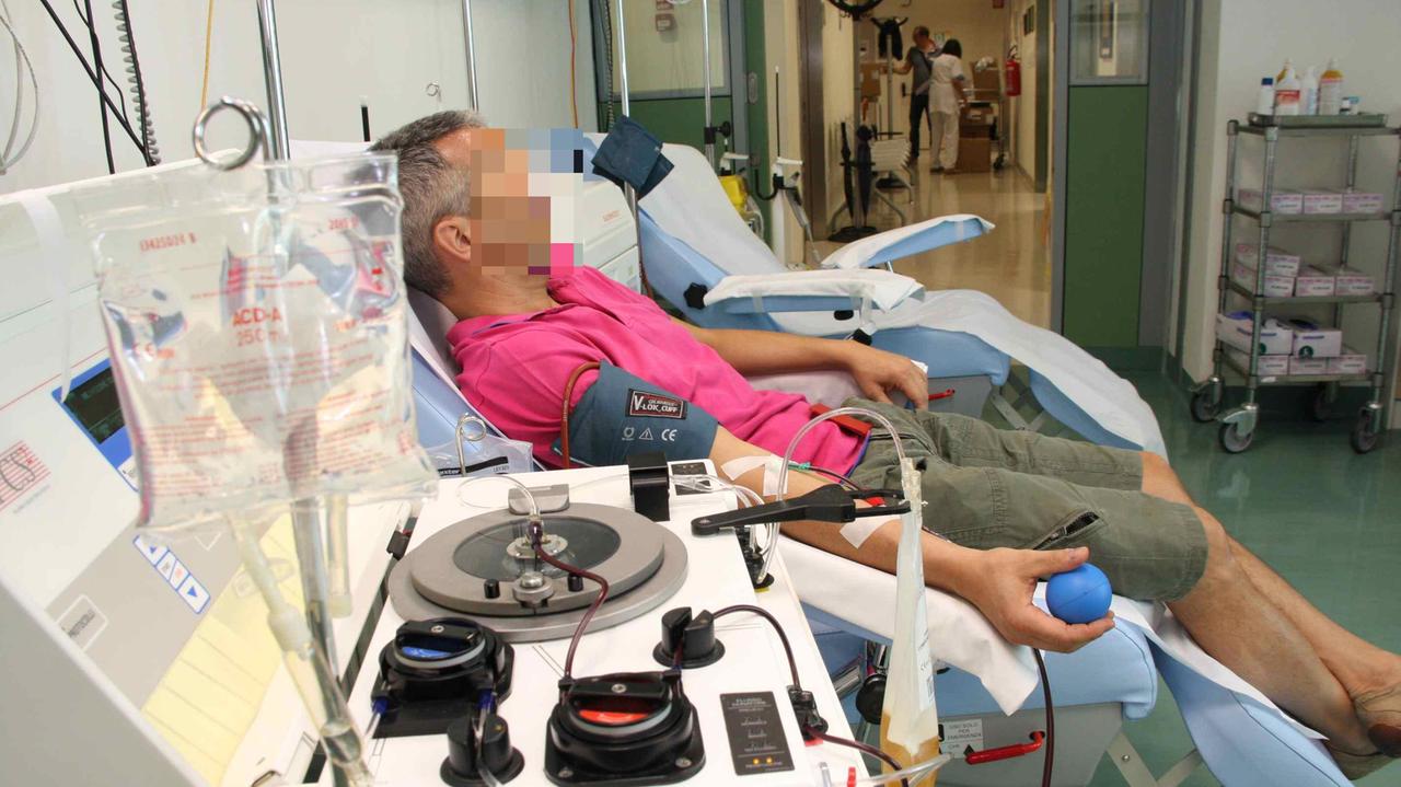 Una donatore di sangue al centro trasfusionale del Santo Stefano (Foto Batavia)