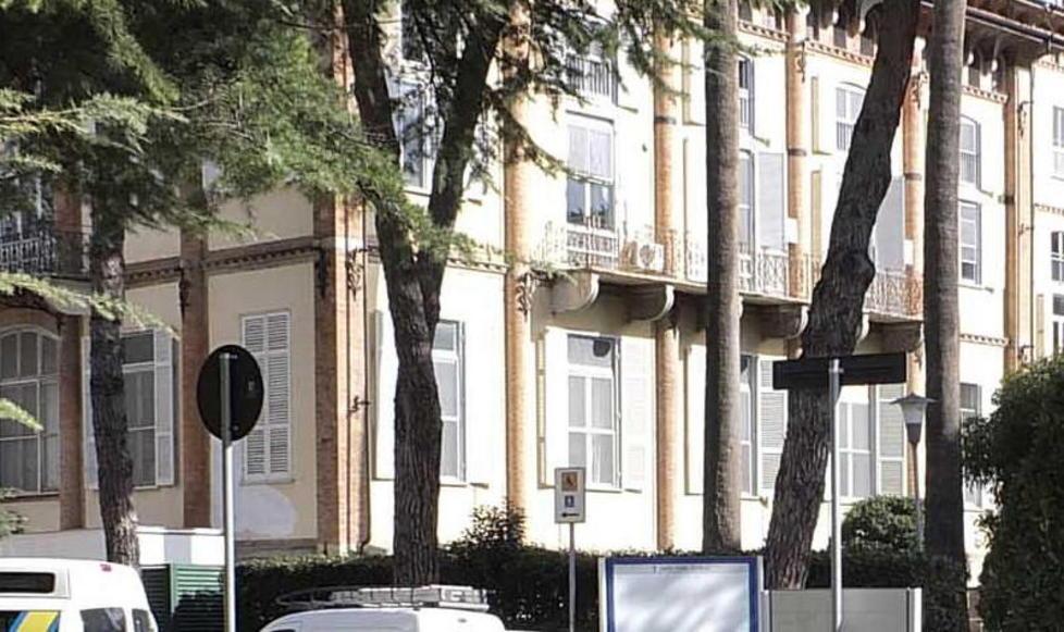 Dieci pini quasi centenari dovranno essere abbattuti
