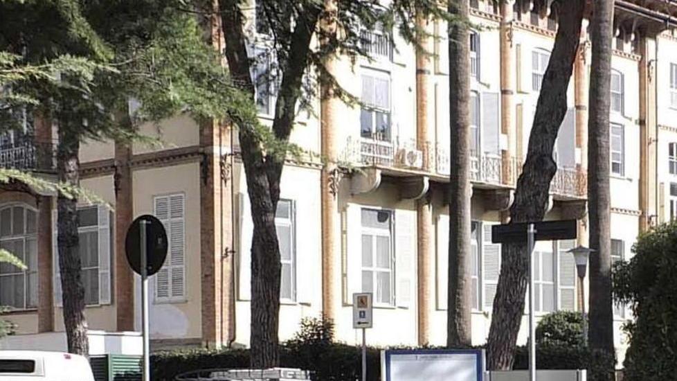 Dieci pini quasi centenari dovranno essere abbattuti