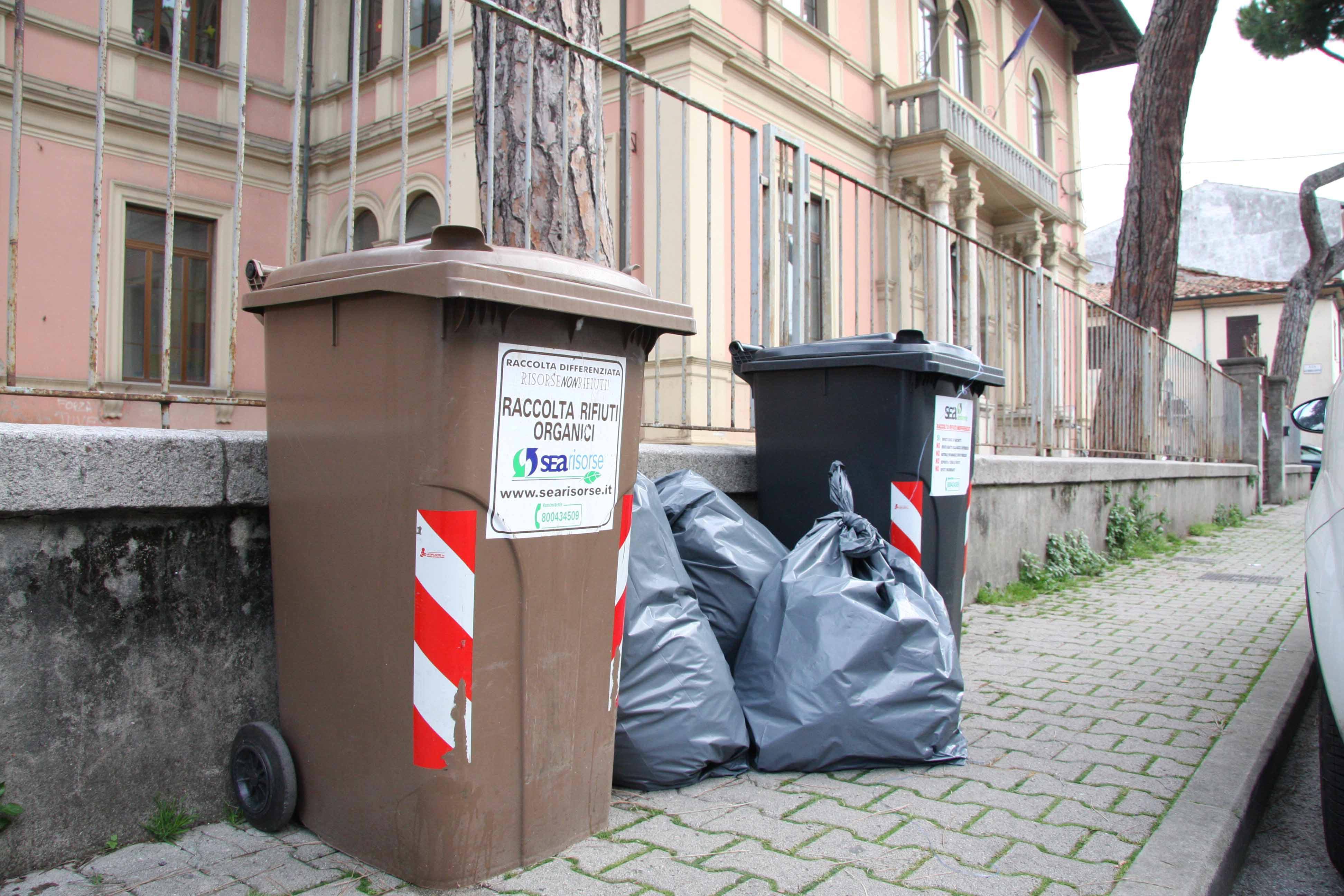 Bidoncini della raccolta differenziata