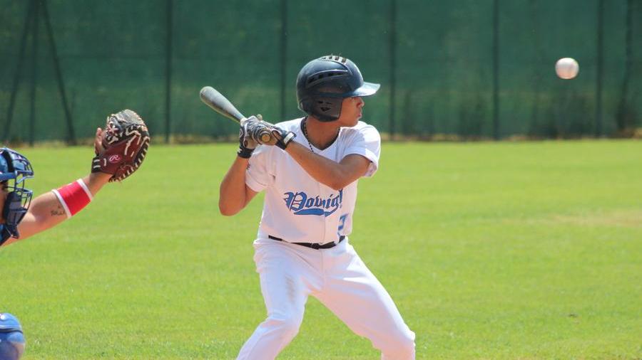 Platform Basket nuovo sponsor della Poviglio Baseball