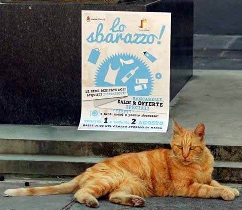 Il gatto Garfield