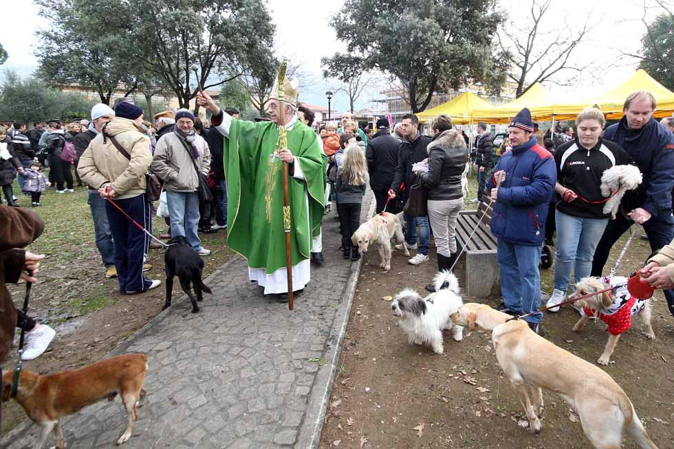Il vescovo Santucci benedice gli animali (foto archivio)
