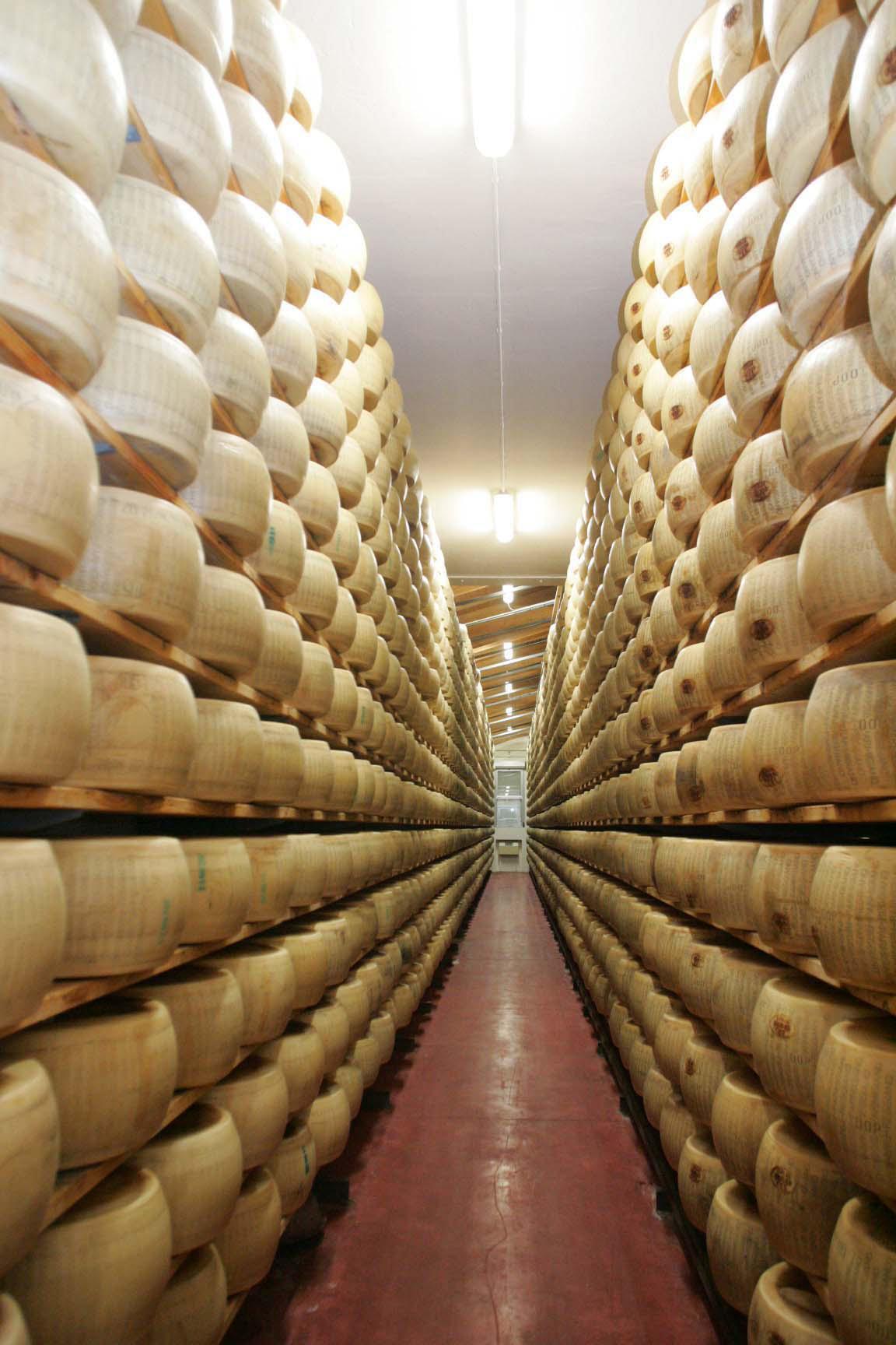 parmigiano