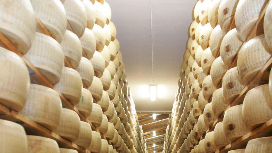 parmigiano