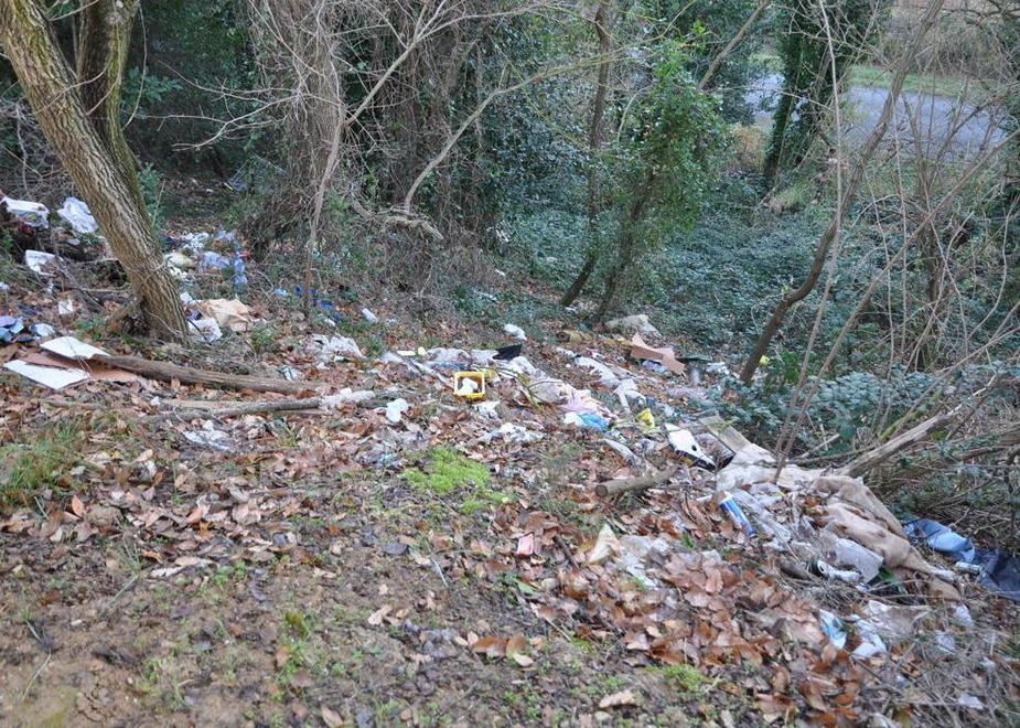 Alle spalle della Ladronaia è cresciuta una discarica 