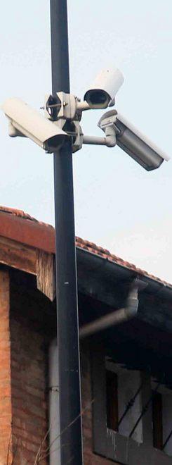 «Aprire viale Ramazzini e attivare le telecamere» 