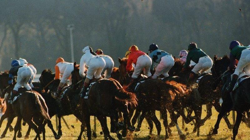 Una corsa al galoppo a San Rossore