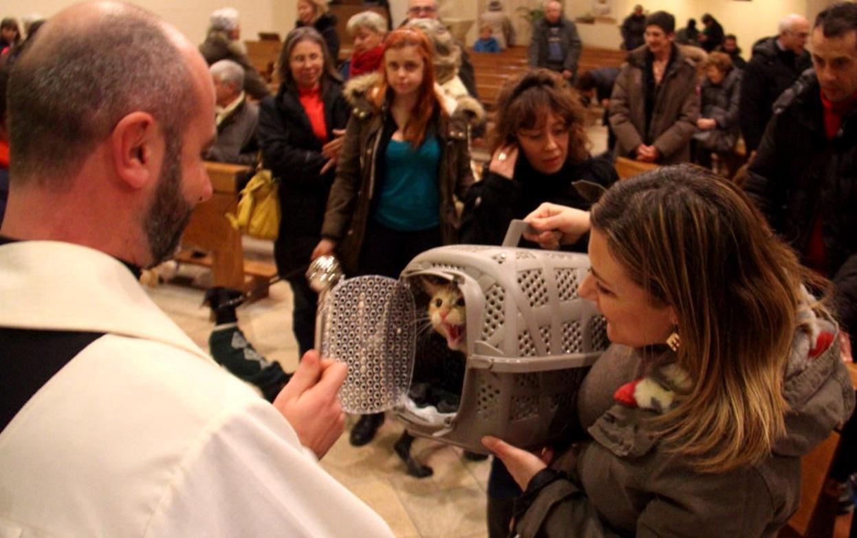 Il parroco di Santa Lucia, don Piotr Kownacki, benedice un gatto durante la liturgia in chiesa nel giorno di sant'Antonio, patrono degli animali (Marzi Pentafoto)